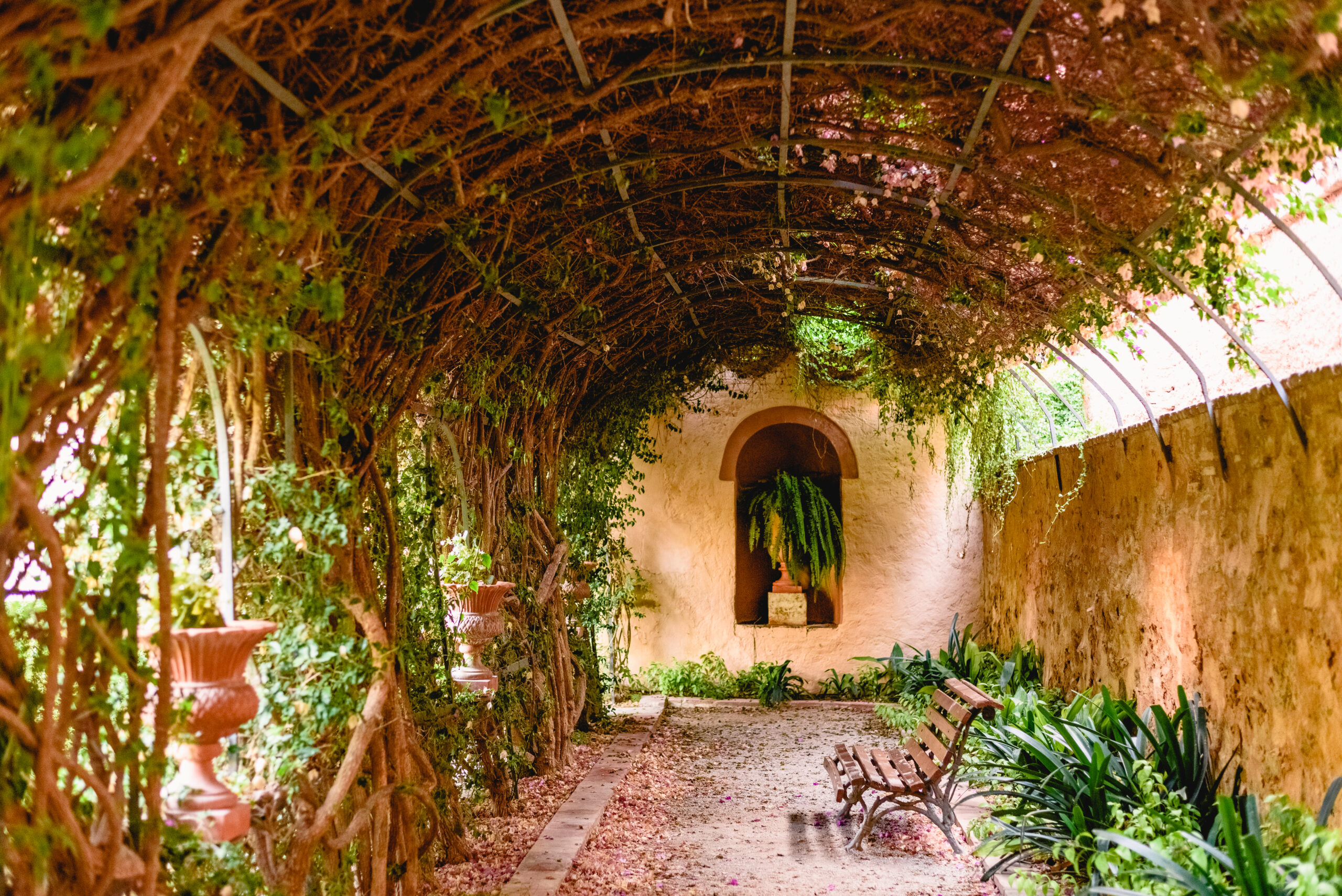 Beautiful and romantic corner among flowers in the garden of Monforte in Valencia.