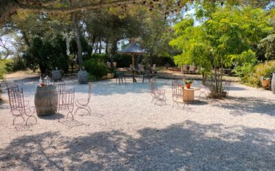 Notre photobooth illumine ce magnifique mariage au domaine de Fontbespierre à Nîmes